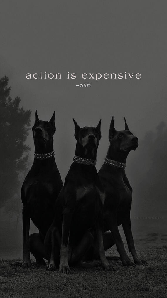 action is expensive